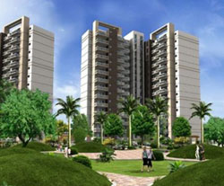Antriksh Zeal